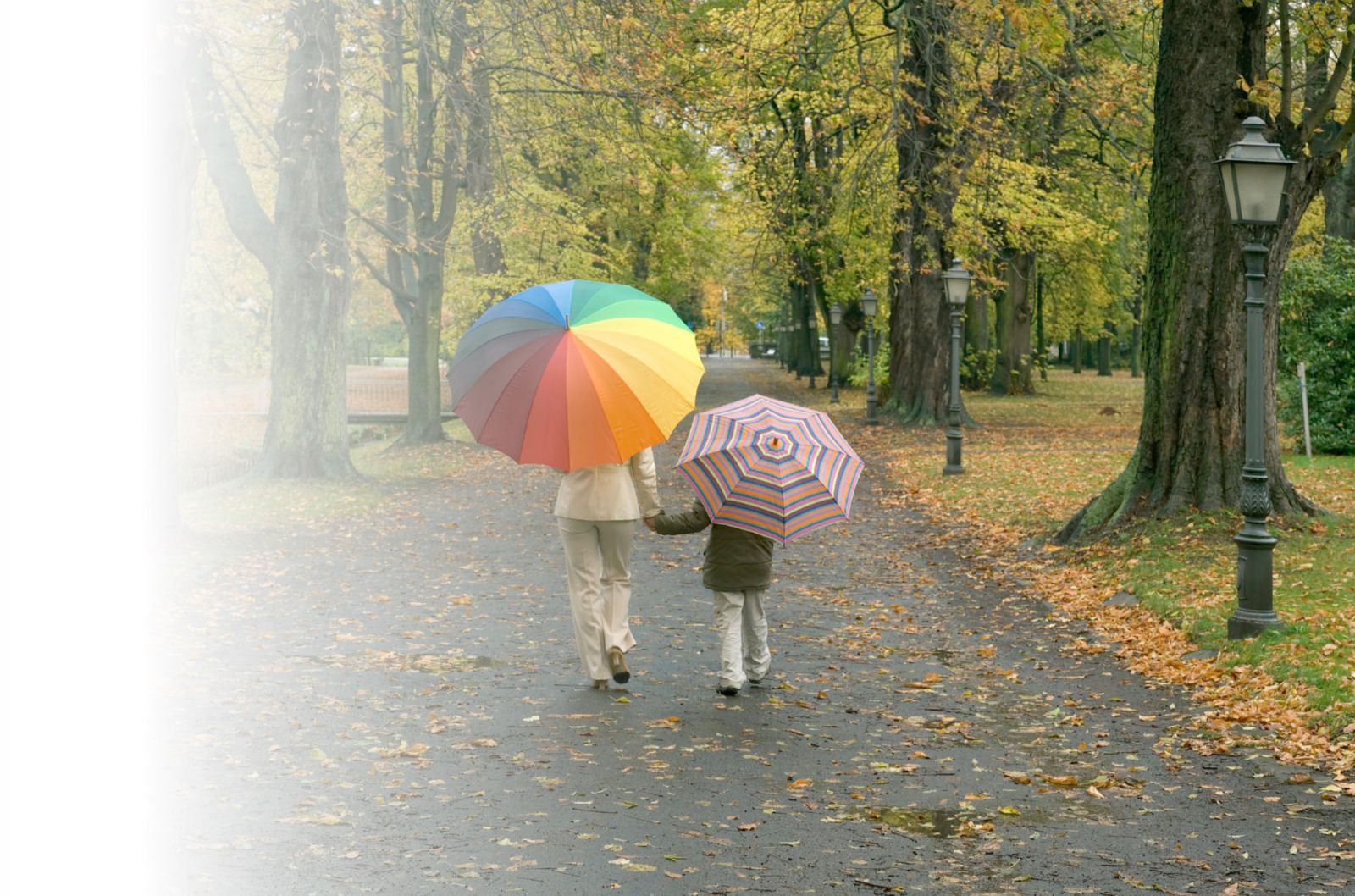 A parent and child walking through the park holding umbrellas