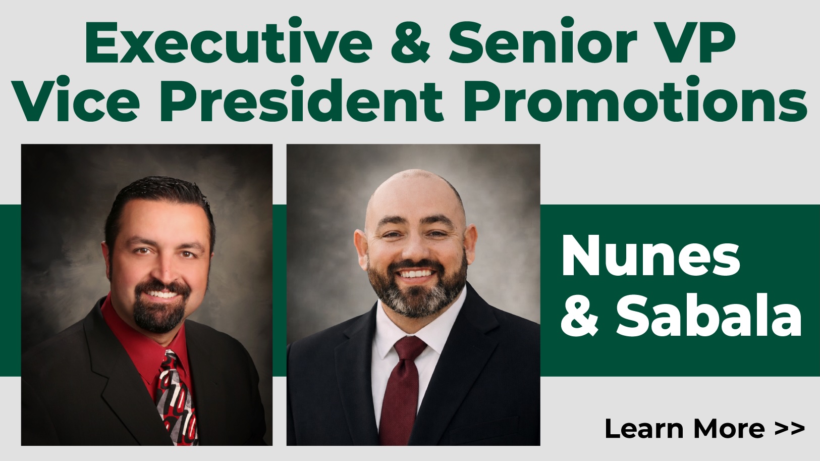 Executive & Senior VP Vice President Promotions